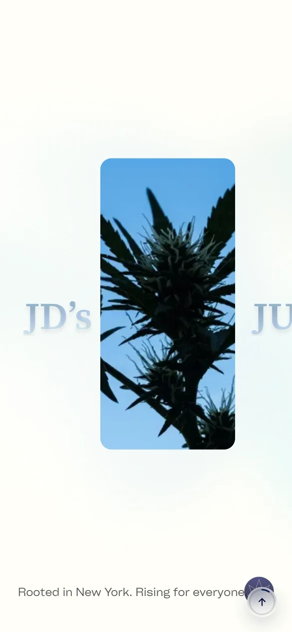 JD'S Jungle mobile view